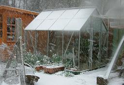Click for larger image (1,500×1,024) Greenhouse with heavy snow blowing around foreground.