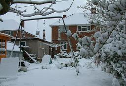 Click for larger image (1,500×1,024) Different view towards the house, framed by snowy shrubs.