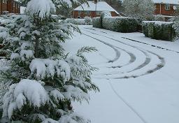 Click for larger image (1,024×1280) Small tree now has canonical festive appearence, with tyre tracks along road.
