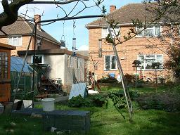 Click for larger image (1,024×768) Different view towards the house, framed by one dead branch and a shrub with new leaves.