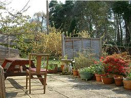Click for larger image (1,024×768) Sunny patio with flowers and shrubs in bloom.