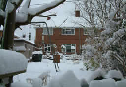 Our house in background framed by plants and boughs in foreground.