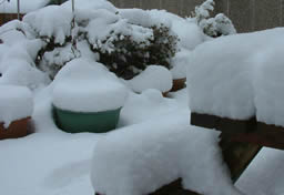 Thick layer of snow coats our picnic table.