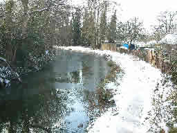 Click for larger image Trees reflecting in canal with glaring white towpath.