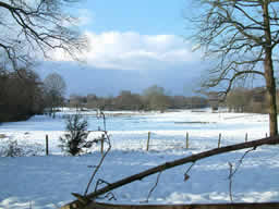 Click for larger image Distant shot across snowy field edged with woodland.