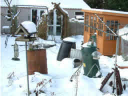 Click for larger image My back garden.