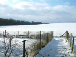 Click for larger image Fenced-in path leads to gentle dome-shaped hill.