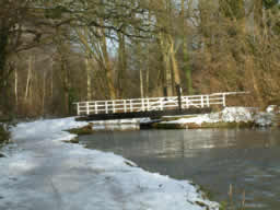 Click for larger image Swingbridge lit up by afternoon sun.