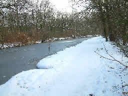 Click for larger image Frozen canal with snowy towpath opposite dense trees.