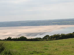 Enormous beach viewed from the hill.