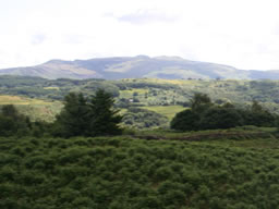 Rolling green fields with hilly forests near the horizon. Taken while on Ffestiniog Railway.