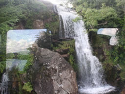 Big waterfall from opposite window. Quick and steady shot taken by Fiona.