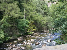 Tree-lined river rushing over rocks, viewed from a solid stone bridge.