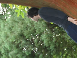 Standing in a curved Asian tree.