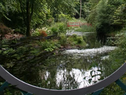 Curved trellis frames the Japanese garden pond.