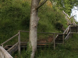 Long, rustic, multi-flight wooden stairs leading up to the folly.
