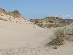 Perfect sand dunes sit in fine white sand and are capped capped with rugged, windswept grass.