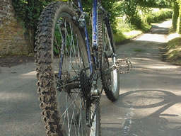 My mountain bicycle points down the lane, as if eager to continue the ride.