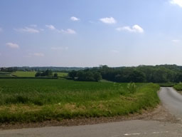 Broad, rolling fields border a meandering country road in bright sunshine.