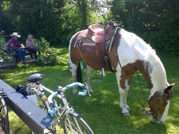 A pair of horse graze while their riders relax on a picnic bench. One wears a light cowboy hat. 3 bicycle are locked to a nearby barrier.