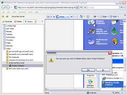 Click for bigger image. Message box asking if you are sure about deleting a History item.