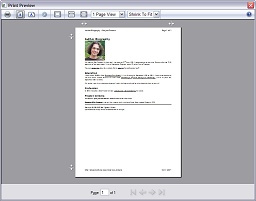 Print Preview window.