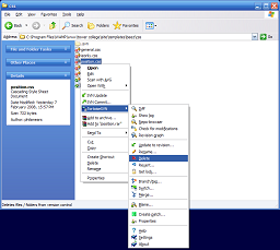 Windows Explorer shows the local folder for this project.