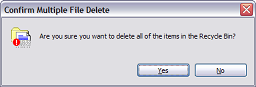 Click for bigger image. Message box asks: “Are you sure you want to delete all of the items in the Recycle Bin?”.