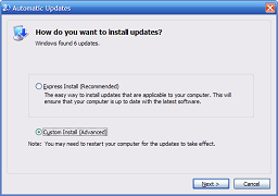 Choosing the other radio button in the Automatic Updates window.
